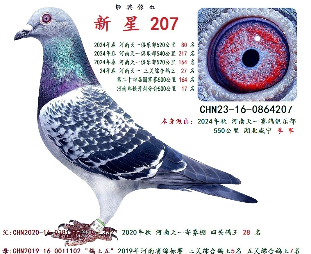 2024�괺 ���ظ����ۺ� 27 ��