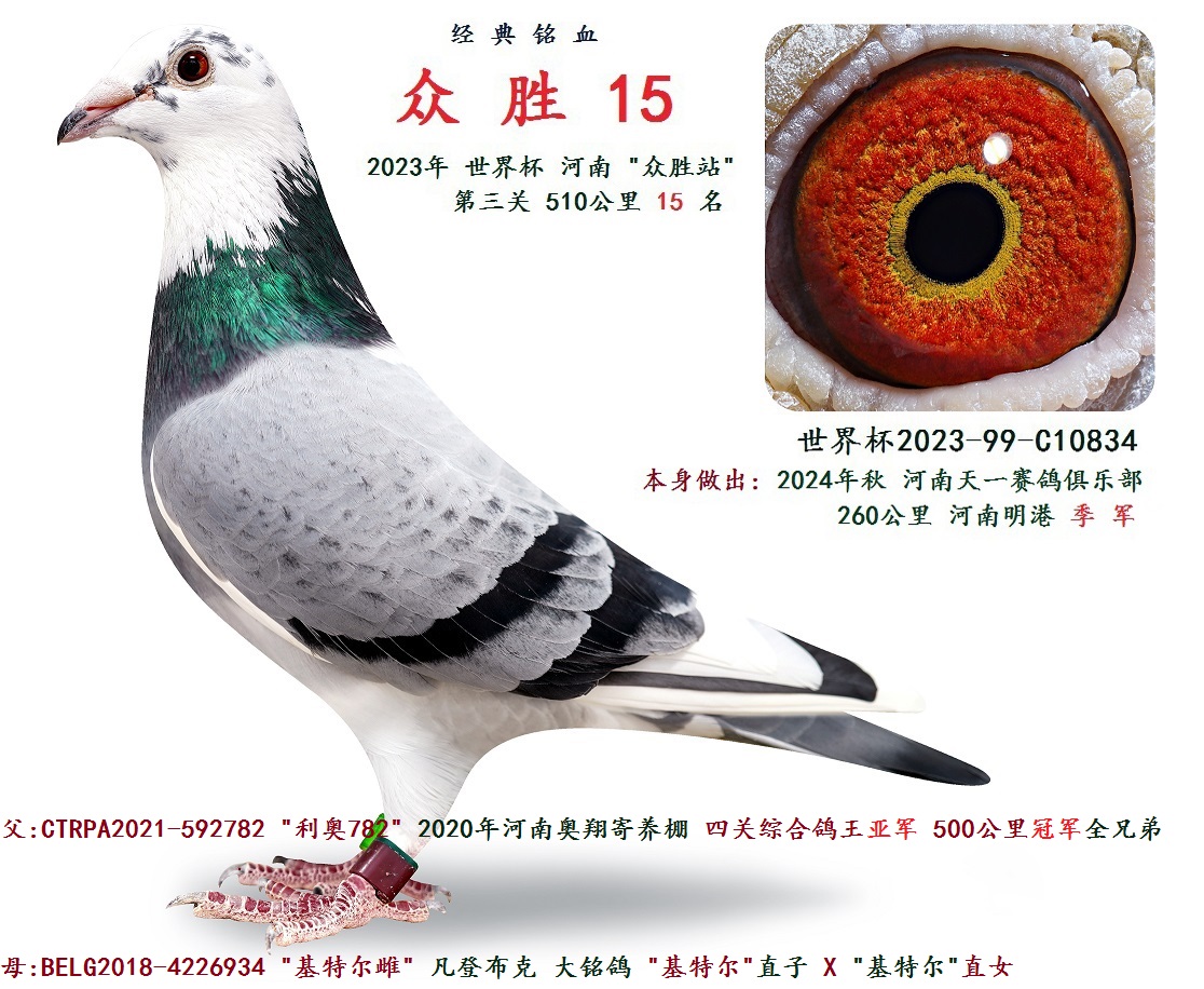 2023�� ���籭 ��ʤվ 15 ��