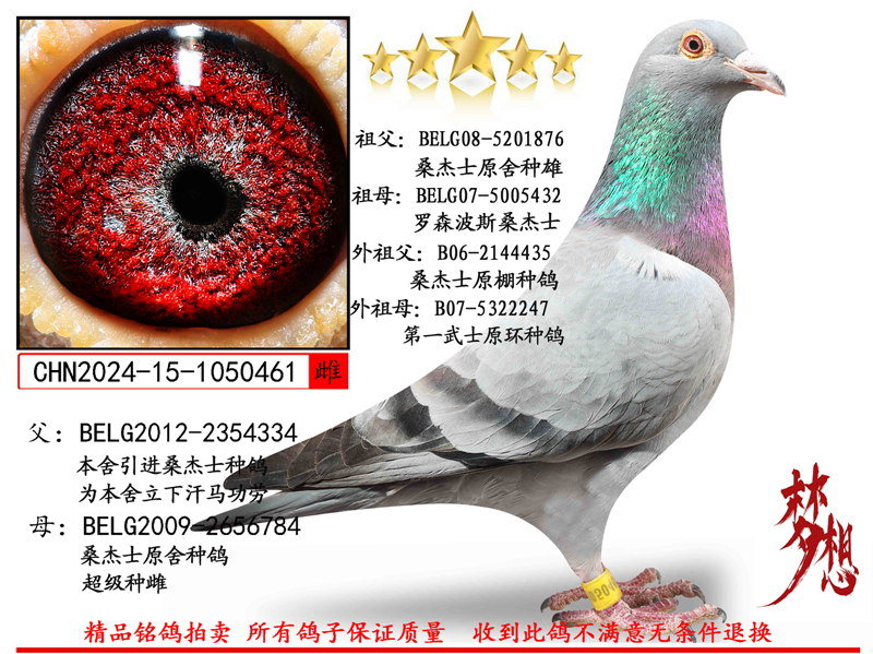 ɣ��ʿ��������