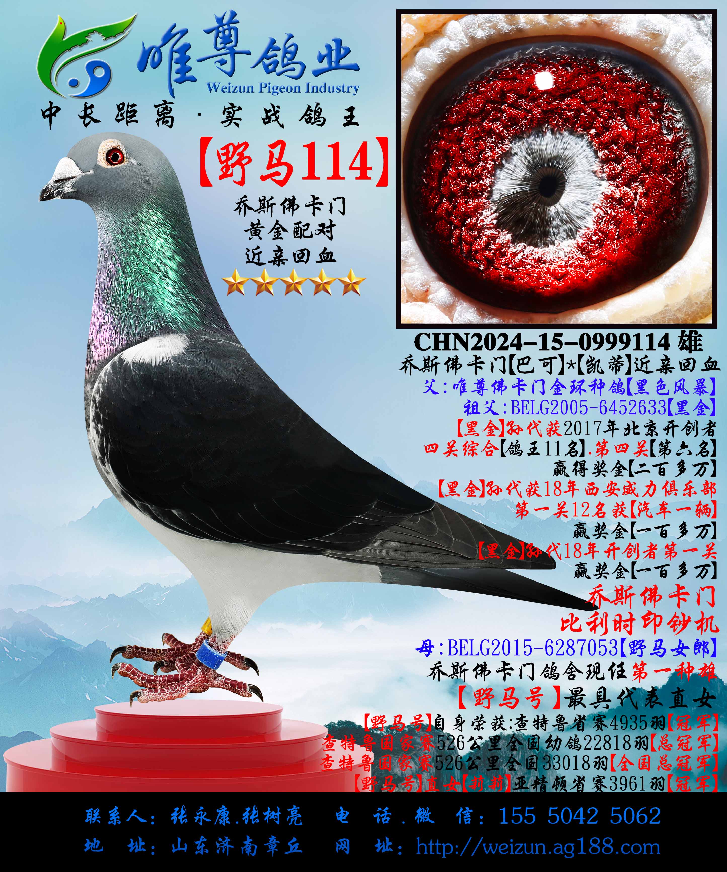 ����˹���š�Ұ��114