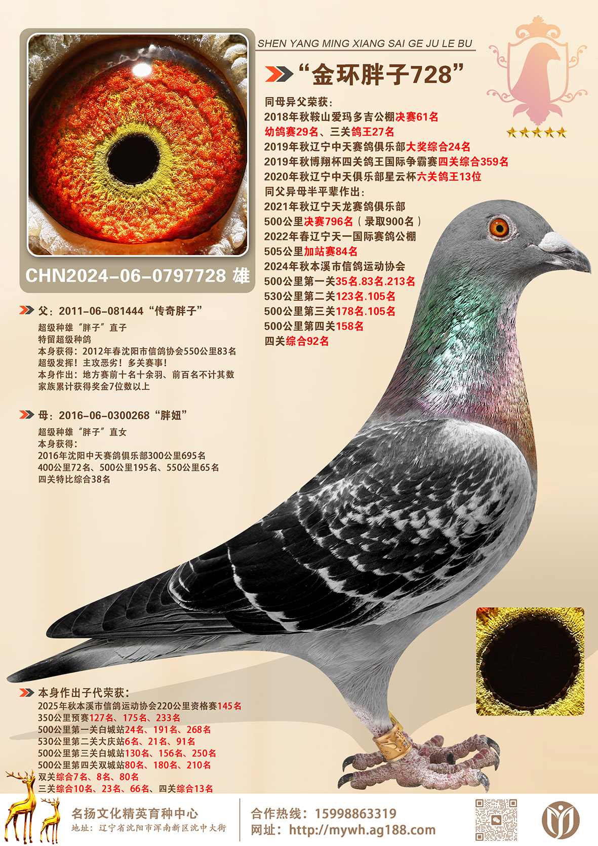 ��������728�������ӡ�ֱ�ӡ������ӡ�