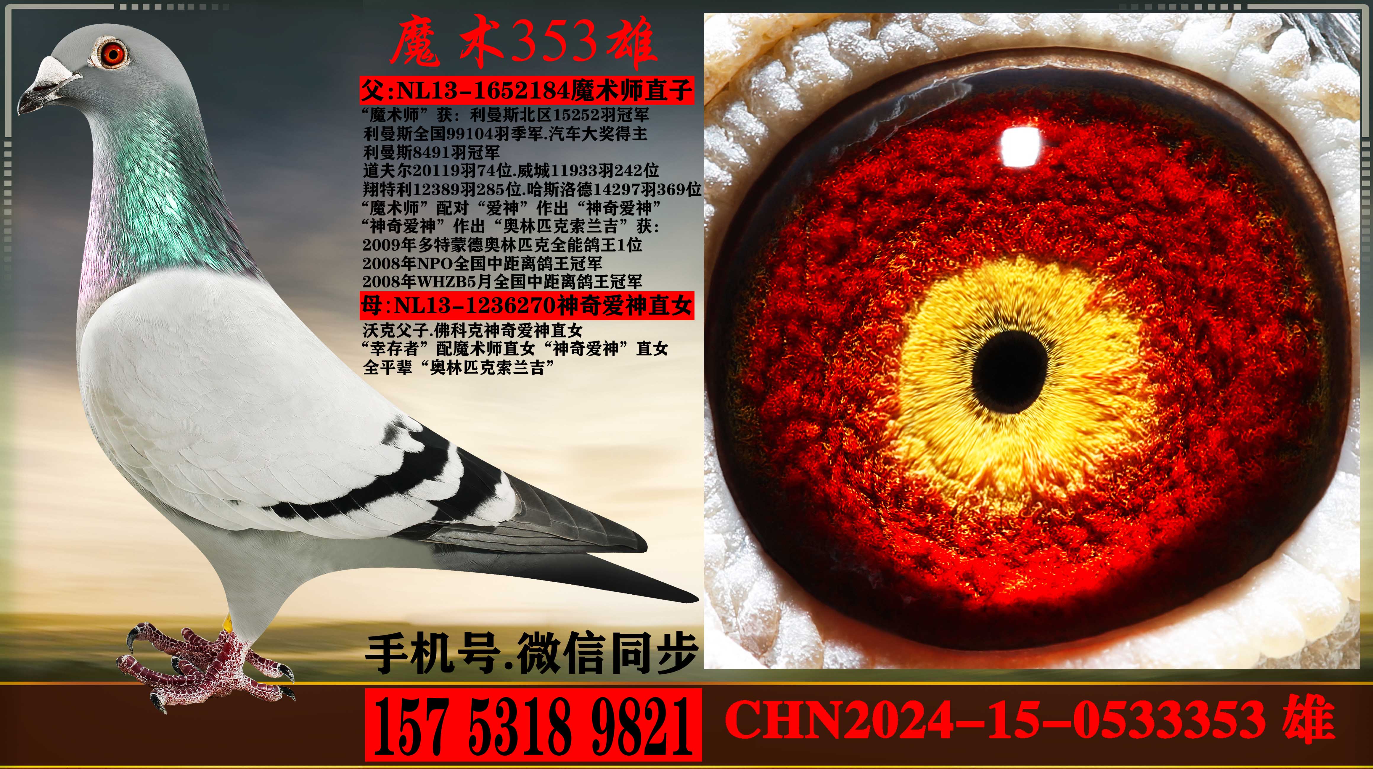 ������.ħ��ʦֱ�����ƿ�.���氮��ֱŮ