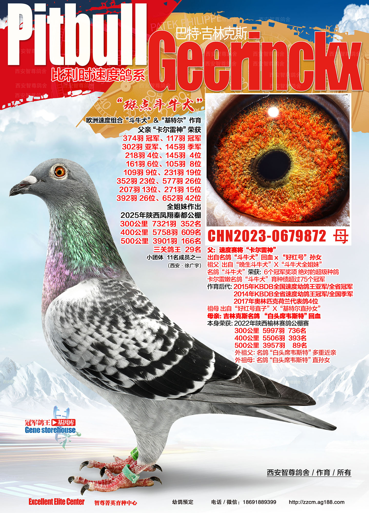 ����ϯΤ˹��