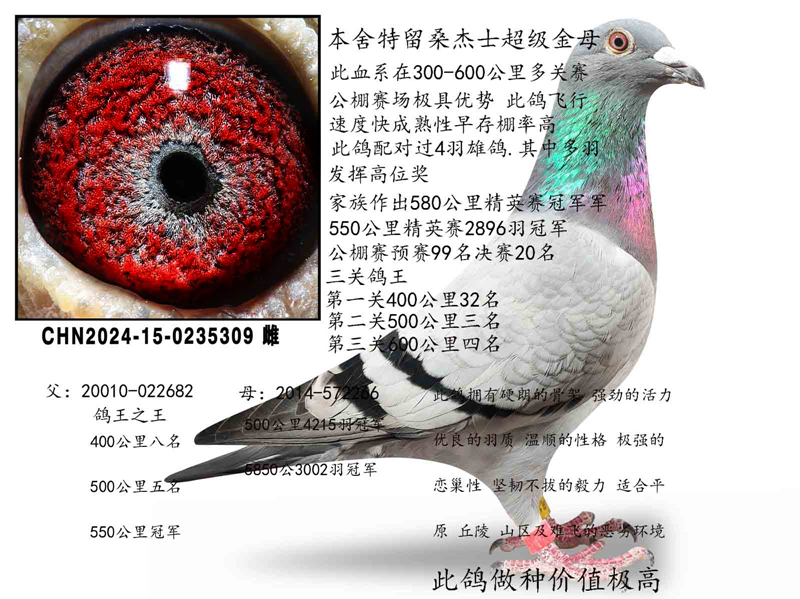 ɣ��ʿ��ʯ��ĸ