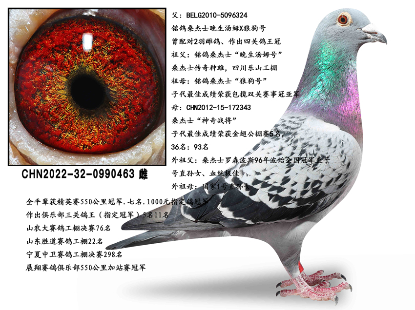 ɣ��ʿ�����ִ�