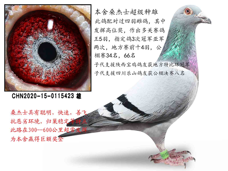 ɣ��ʿ��һ��ʿ����