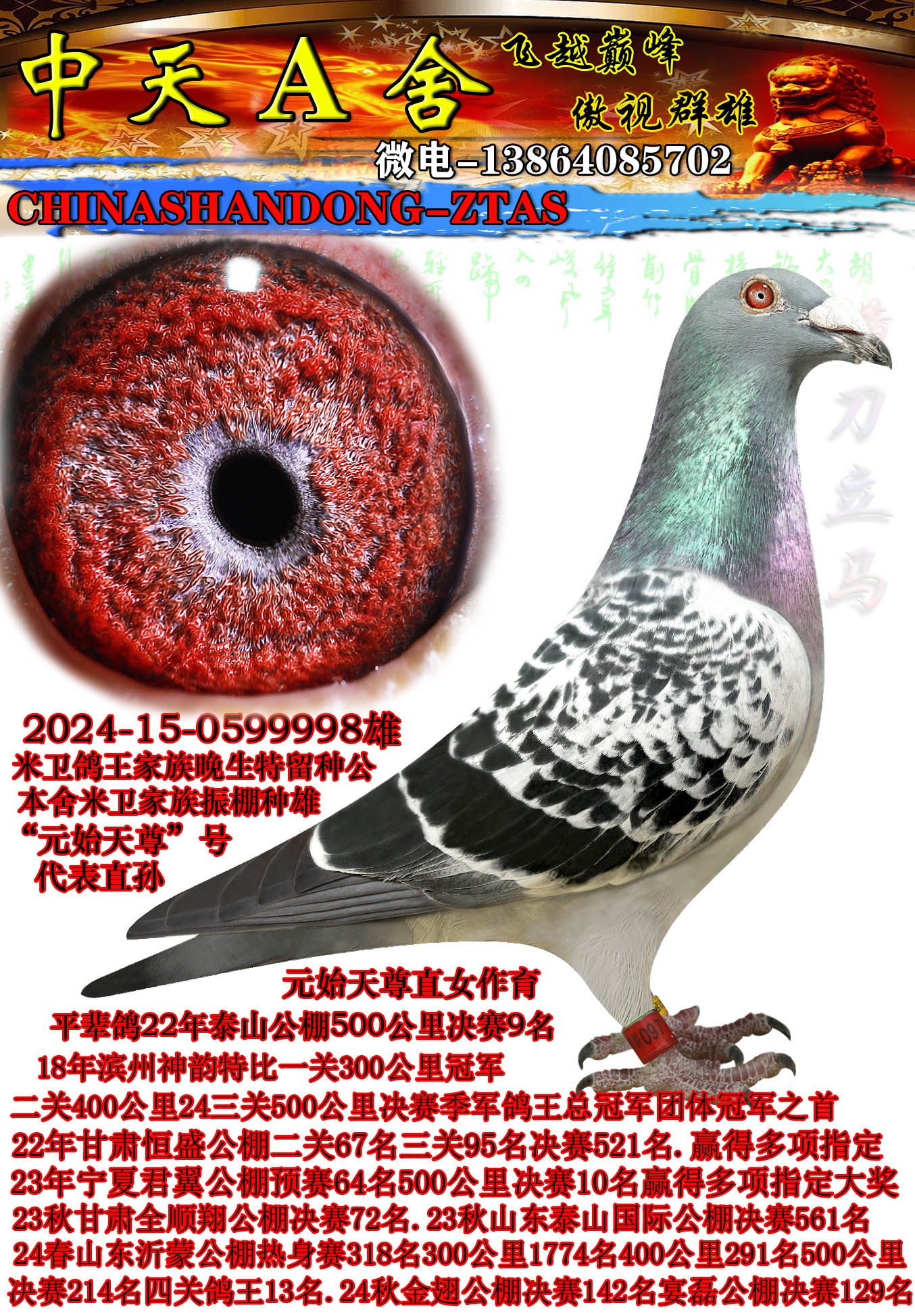 ����9��ƽ��