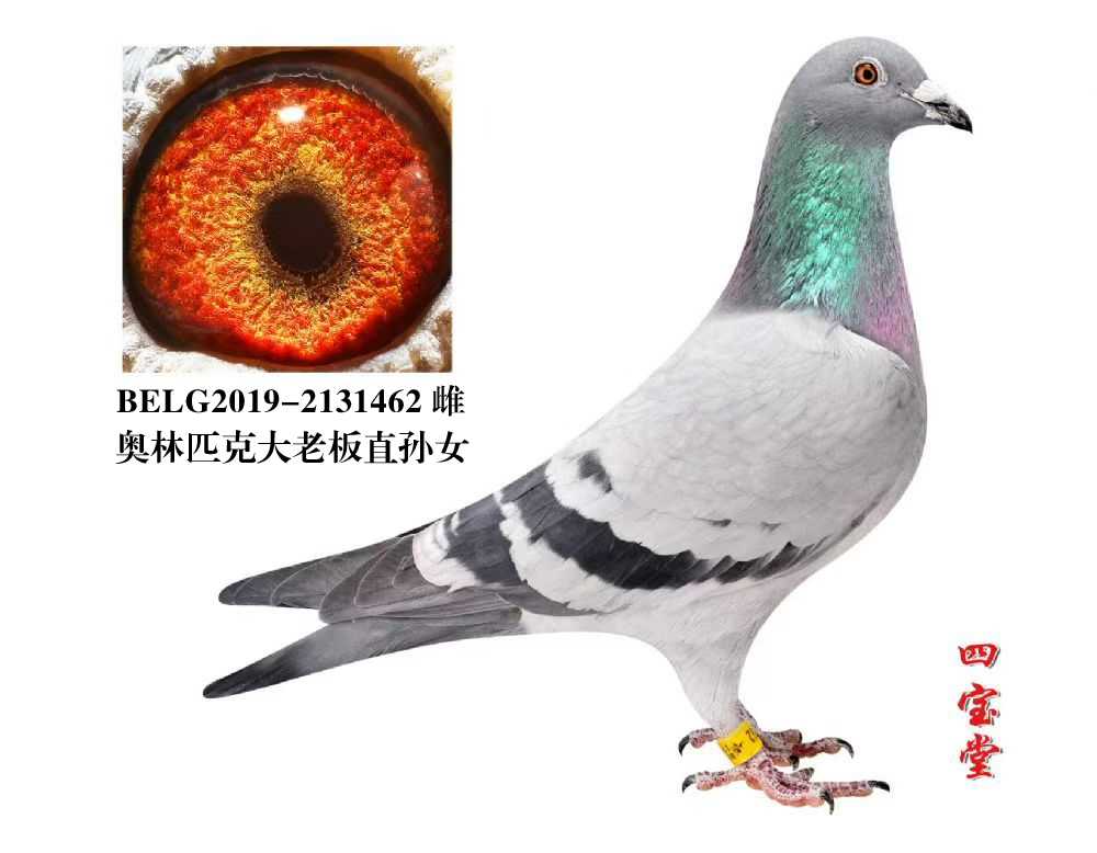 ����ƥ�˴��ϰ�ֱ��Ů