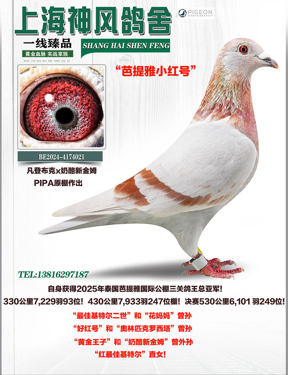 ̩�����������ظ����Ǿ�