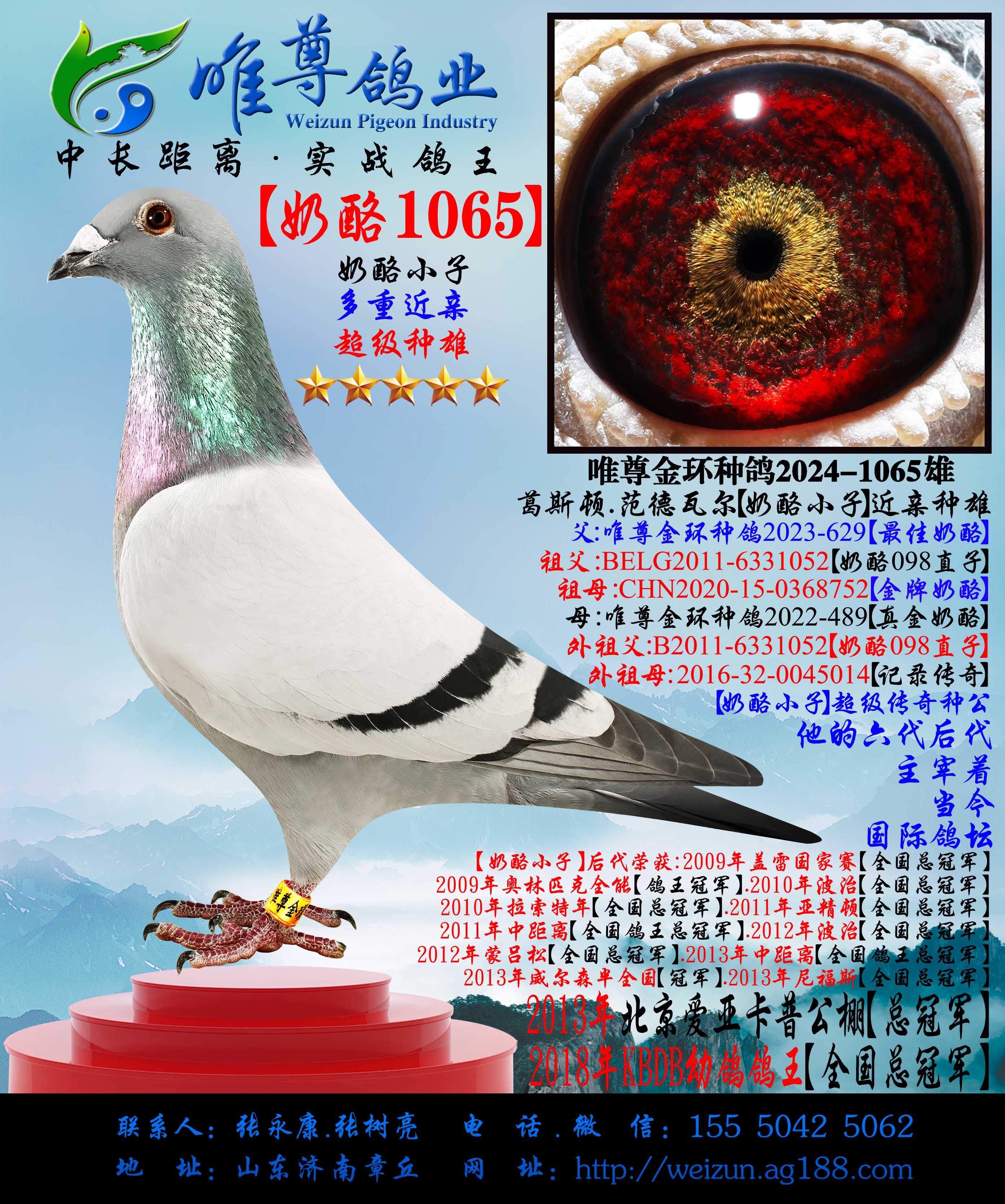 �����ҽ��ס���1065