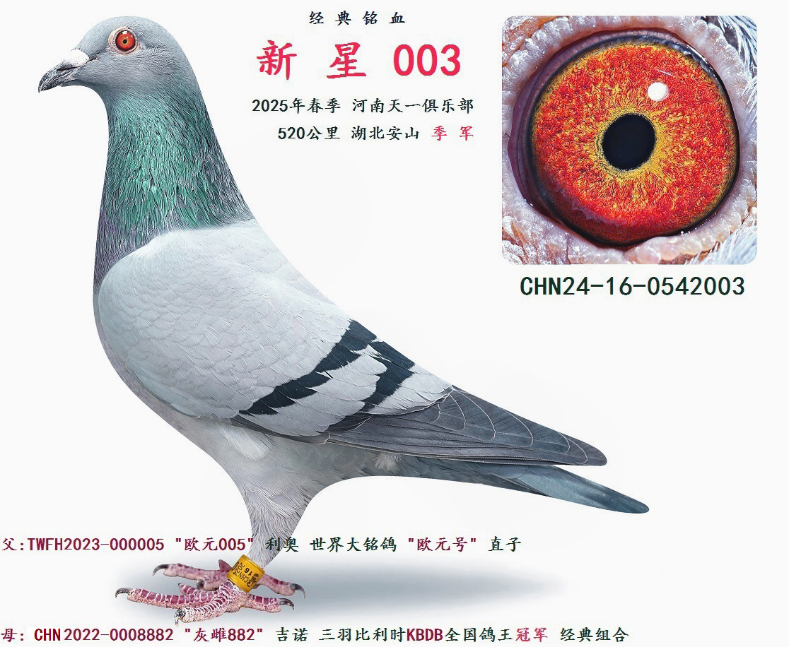 2025�괺��  520����  �� ��