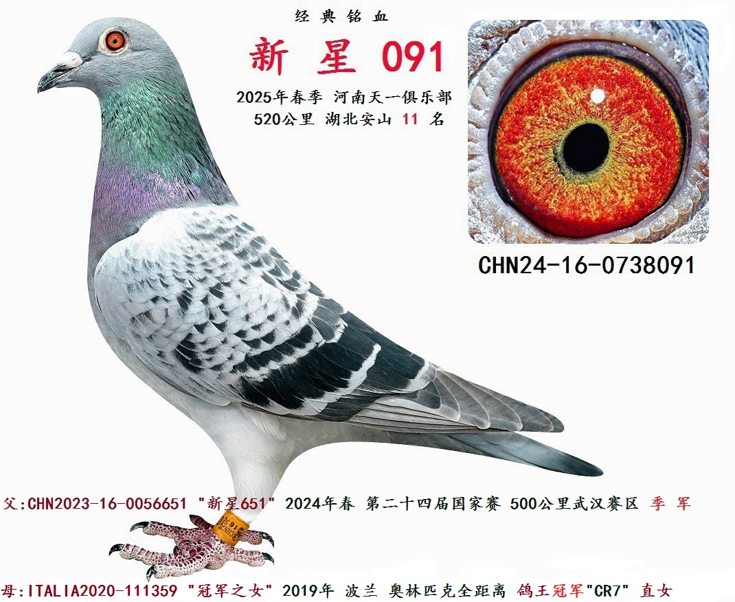 2025�괺�� 520���� 11 ��