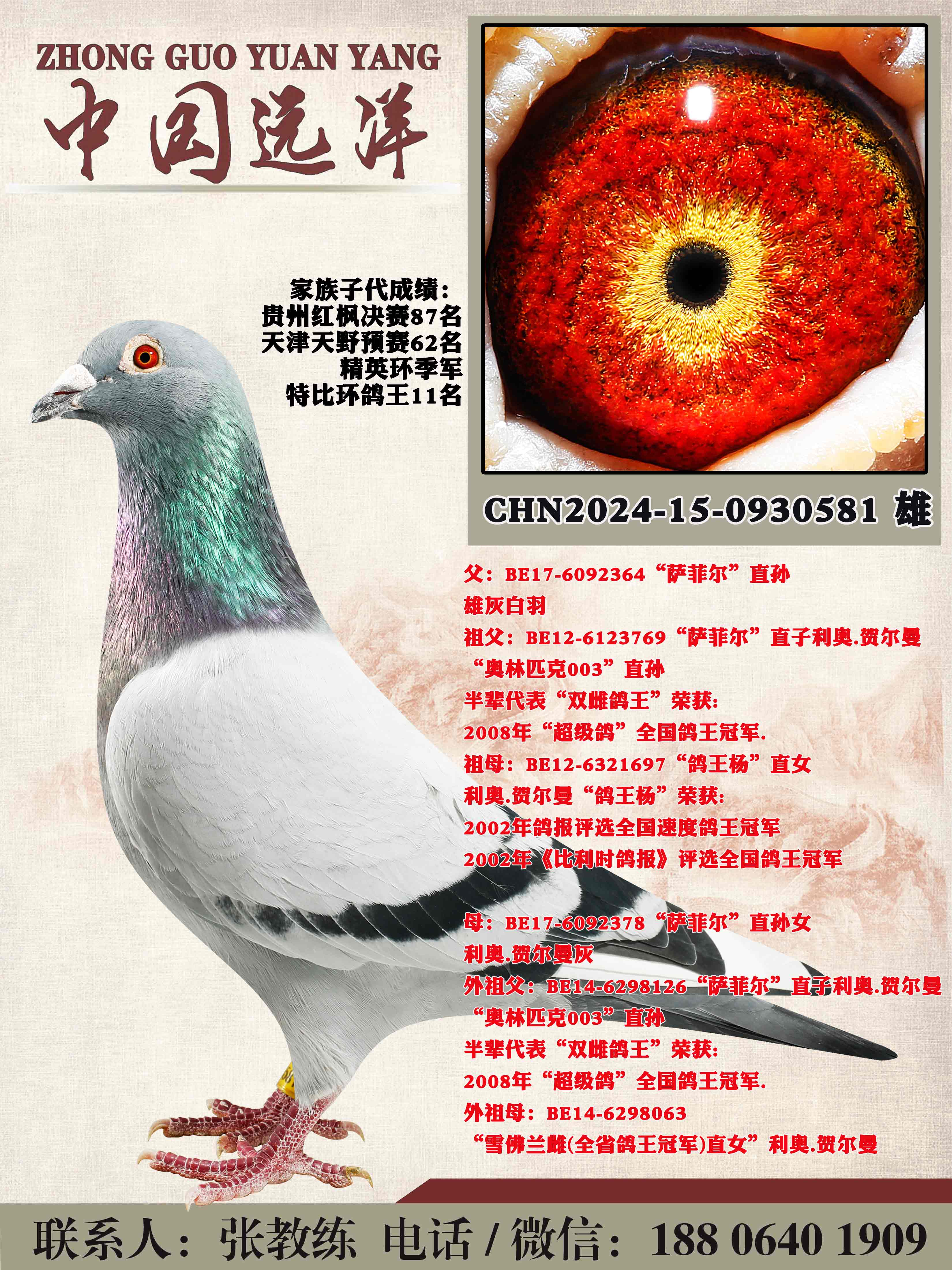 ���겻���ɼ�����