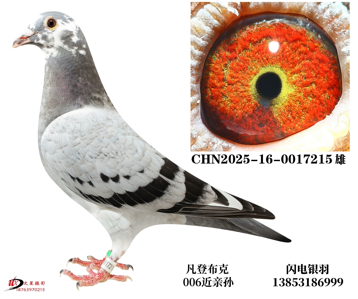 �Ͽ�.���ǲ���006����