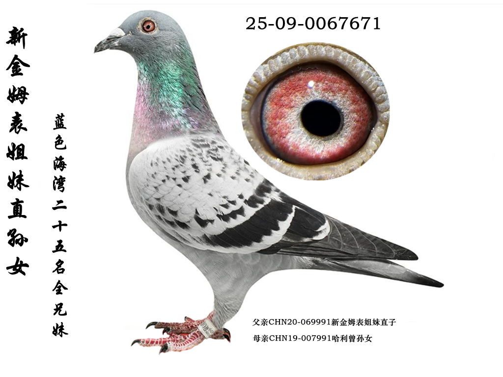 ���½�ķ�����á�ֱ��Ů