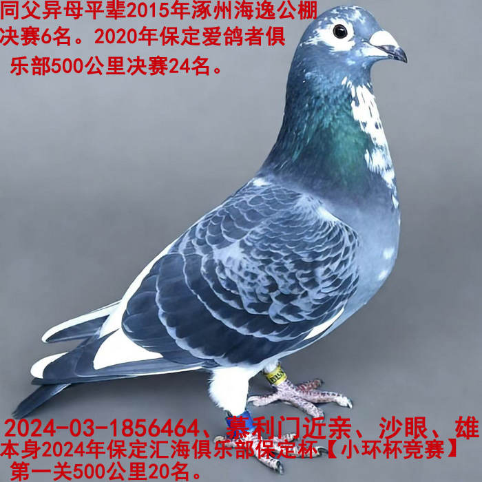 ��Ľ����