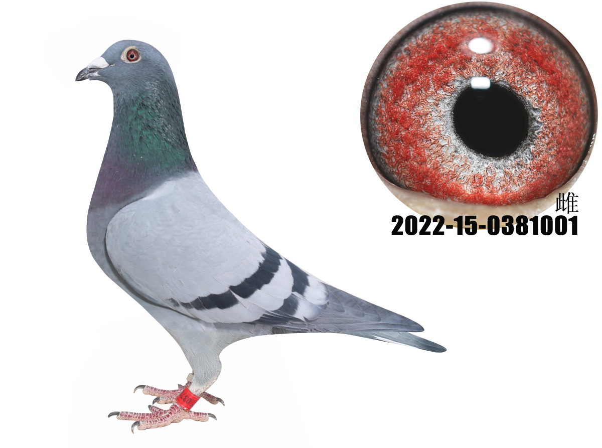 �����漣32ֱ����漣32ֱ��Ůһ���漣