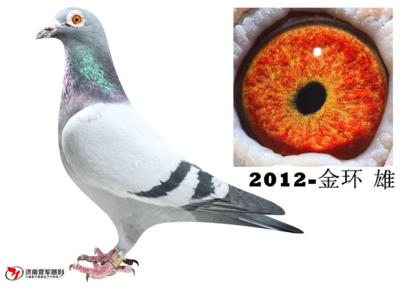 �漣32ֱ�����