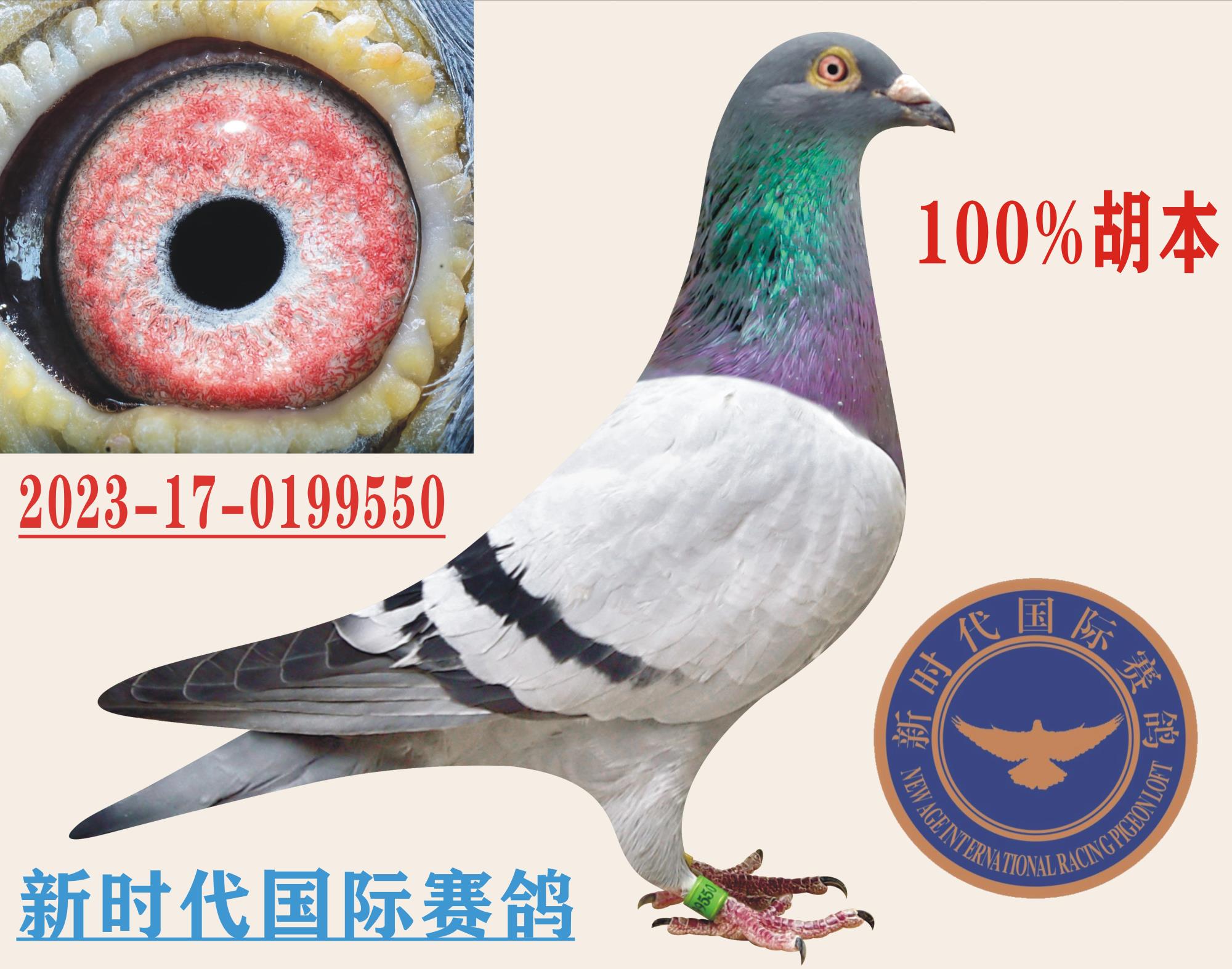 ����-����������ظ���9��ֶ��