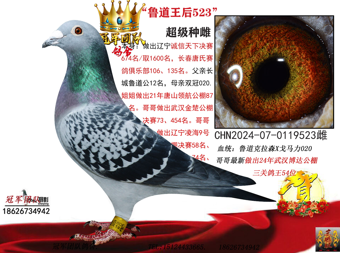 ³������523