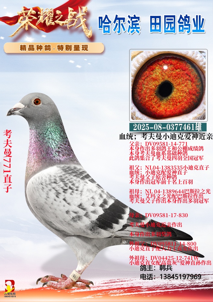 ������771ֱ��