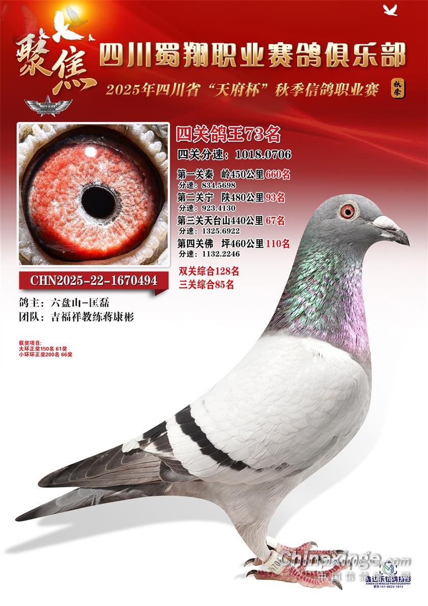 �Ĵ�����ְҵ������ֲ��Ĺ��ۺϸ���73