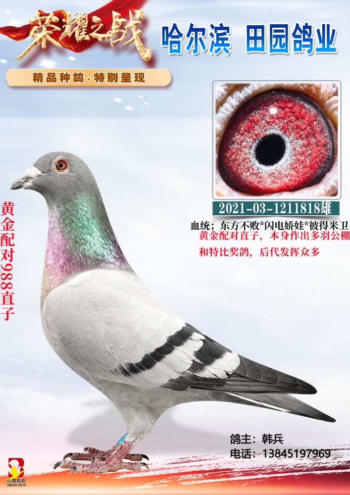 �ƽ����988ֱ��