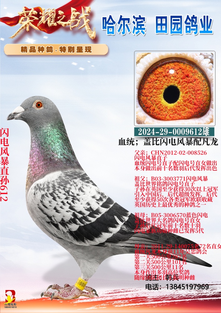 ����籩ֱ��612