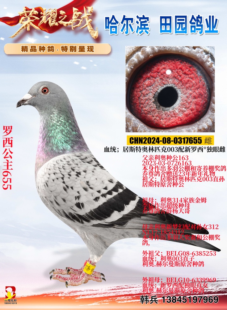 ��������655