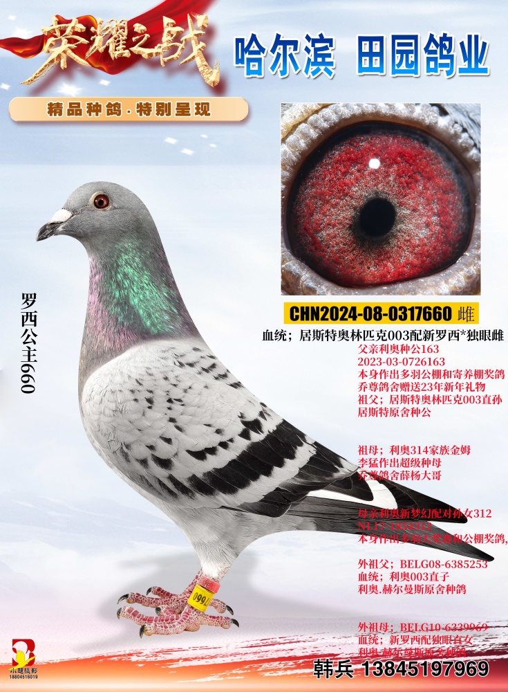 ��������660