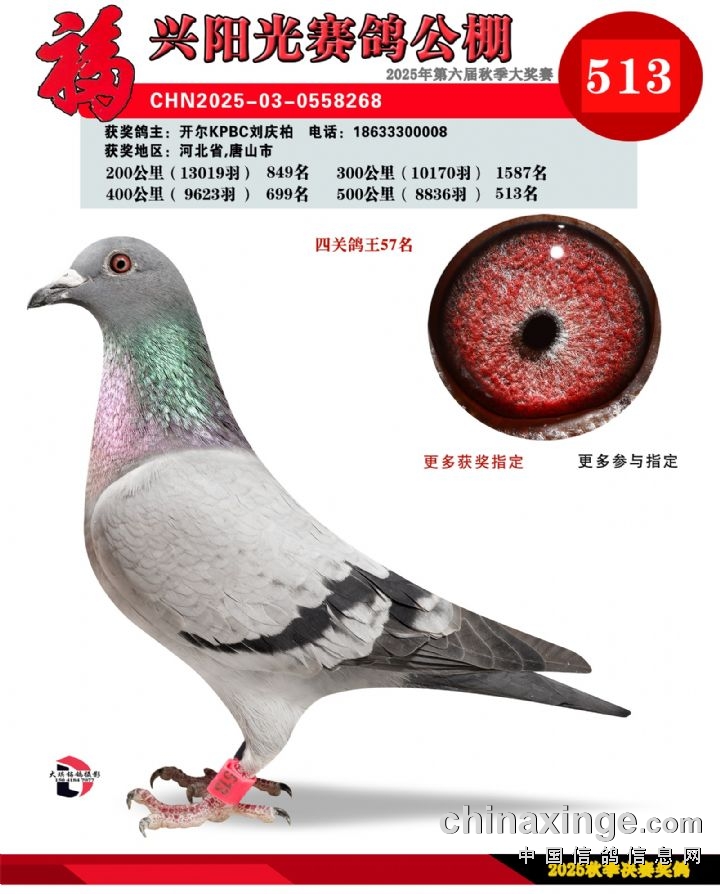 25�����|�����dꖹ�Qِ513��