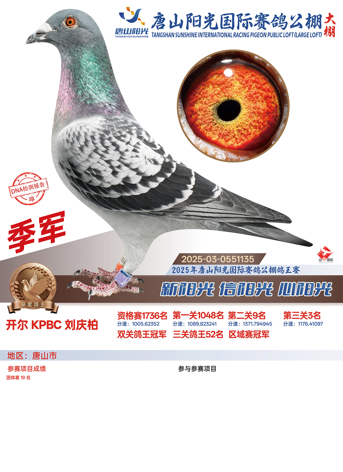 ���f�����졿��ꖹ�����p�P(gu��n)������܊