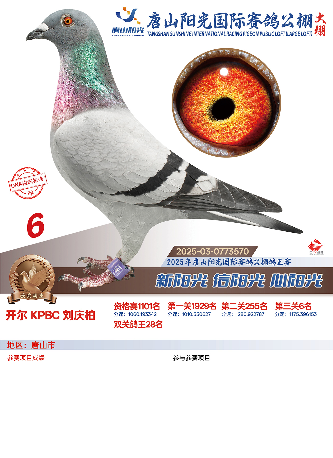 25������ɽꖹ����Qِ6��