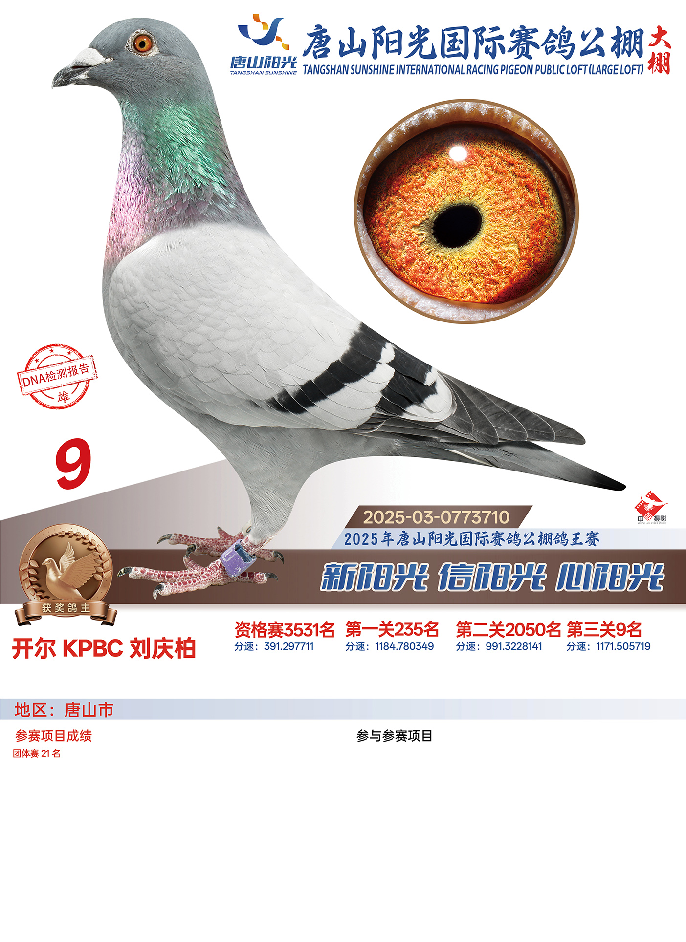 25������ɽꖹ����Qِ9��