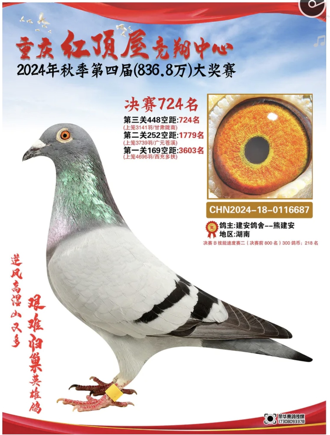 �ؑc�t��ݛQِ724��