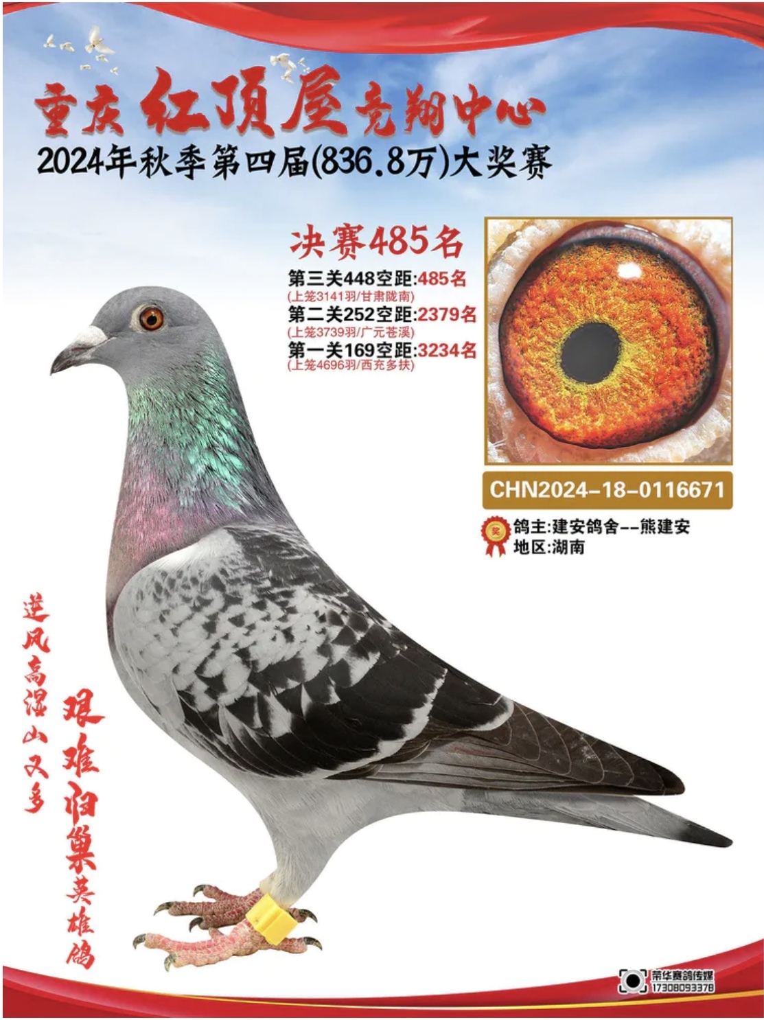 �t��ݹ���Qِ485��