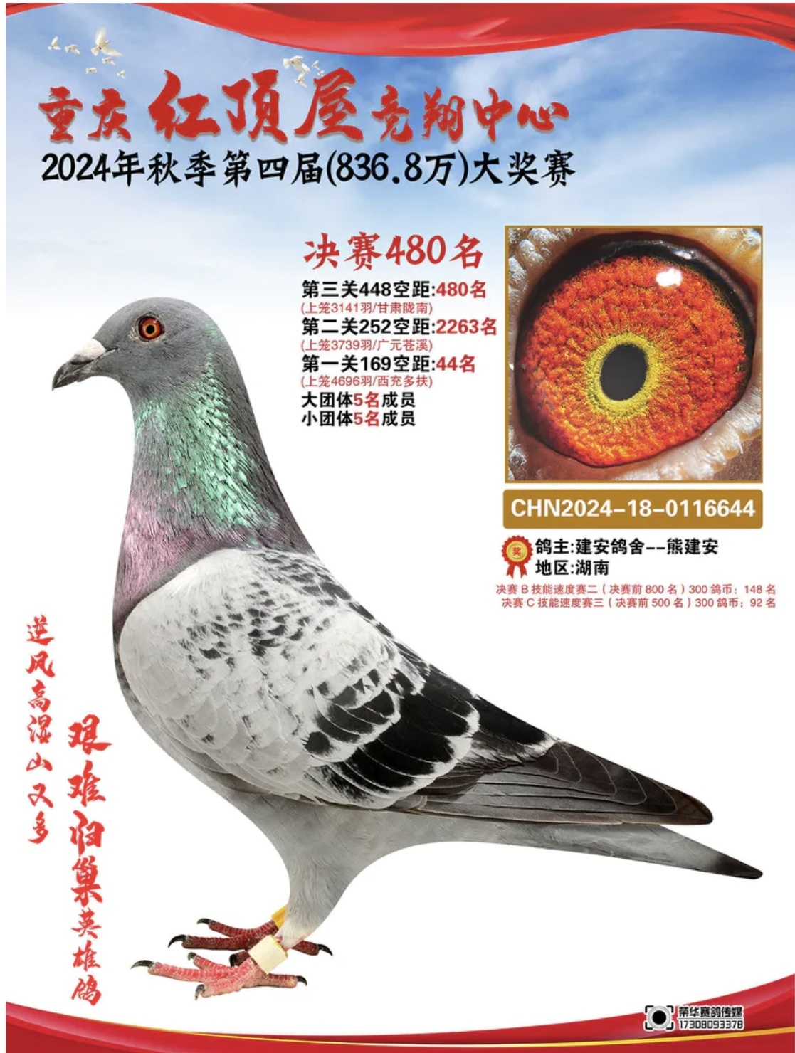 �ؑc�t��ݛQِ480��