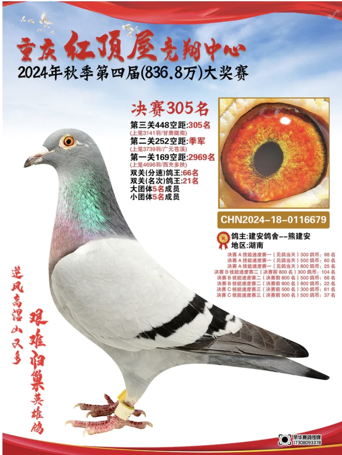 �ؑc�t��ݛQِ305��