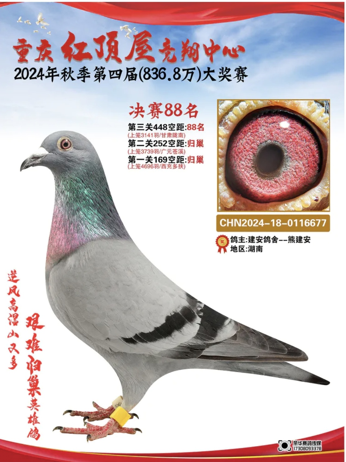 �ؑc�t��ݛQِ88��