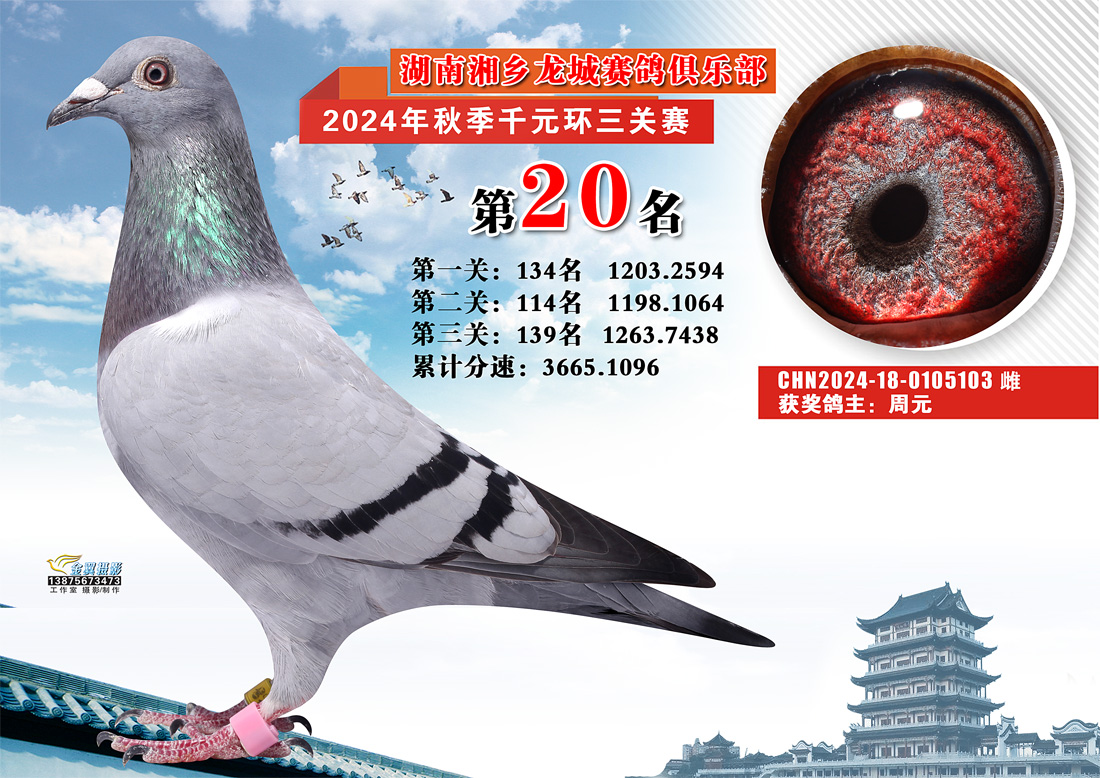 �������Ǿ㘷��ǧԪ�h(hu��n)20��