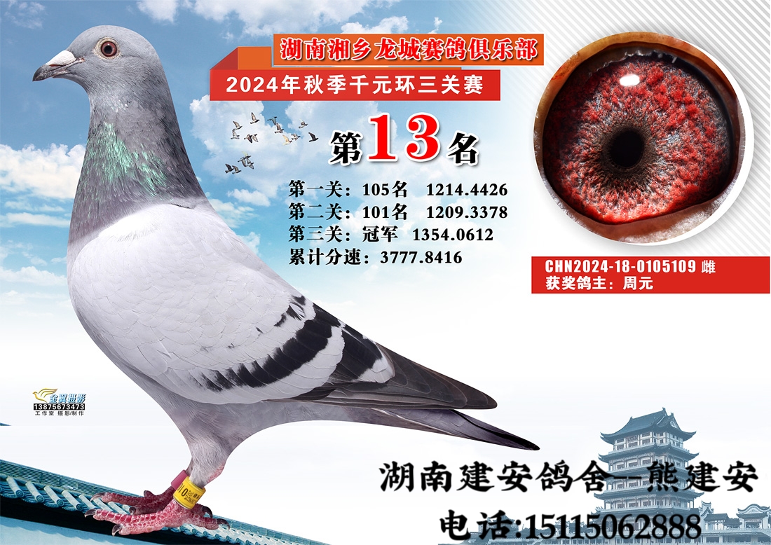 �������Ǿ㘷(l��)��ǧԪ�h(hu��n)13��