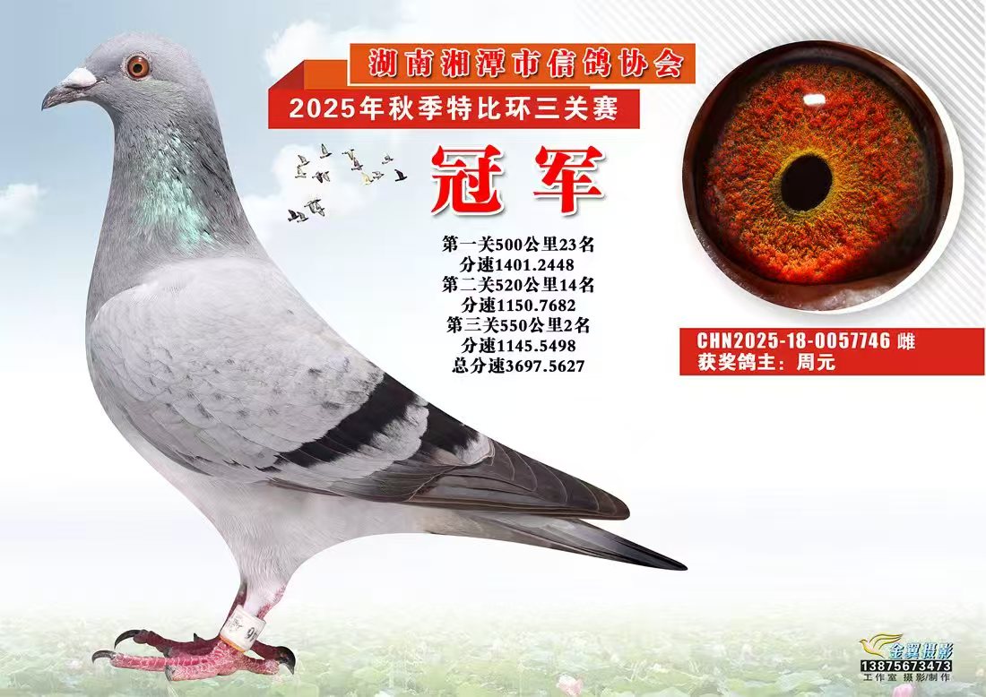 ��̶�������f(xi��)���رȭh(hu��n)����܊