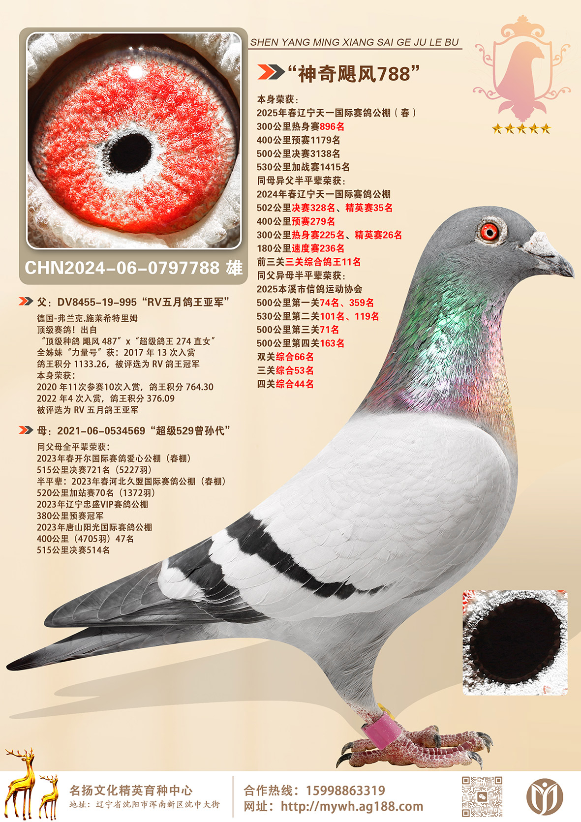 ������쫷�788��������һ�������빫��