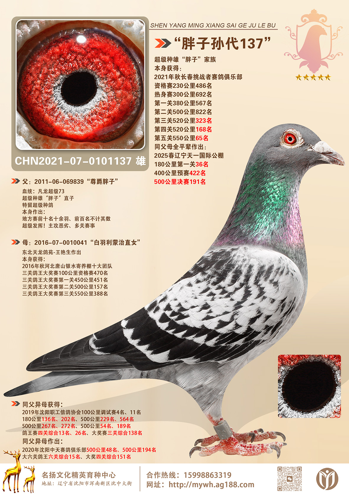 ���������137��550����65��