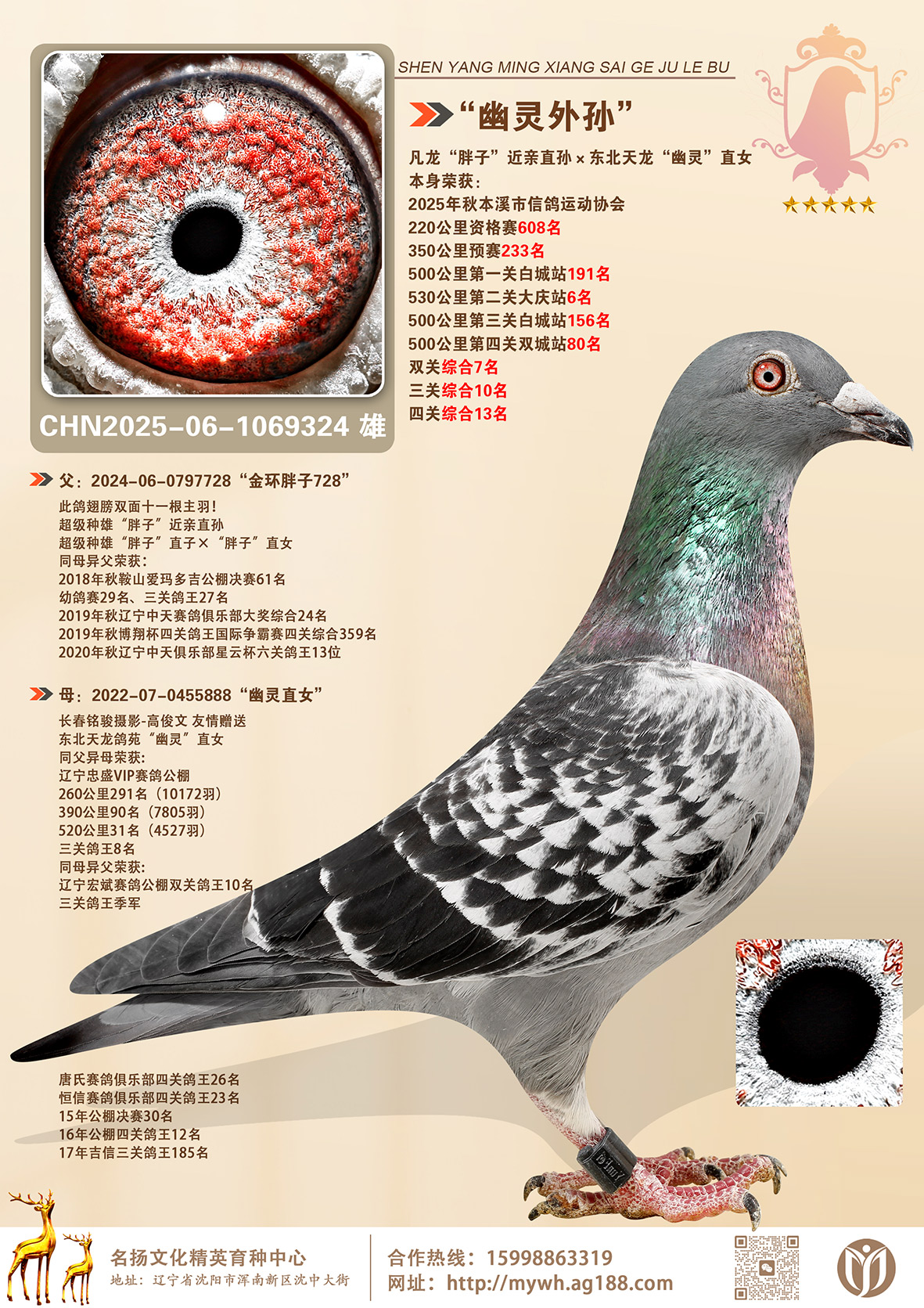 ���������500����6�����Ĺ��ۺ�13