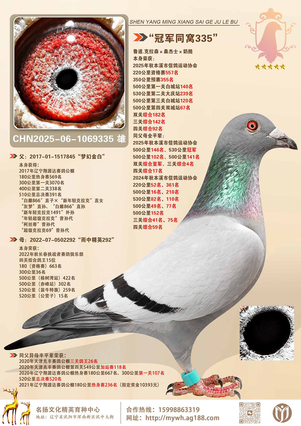 ���ھ�ͬ��335��530����ھ�ȫƽ��