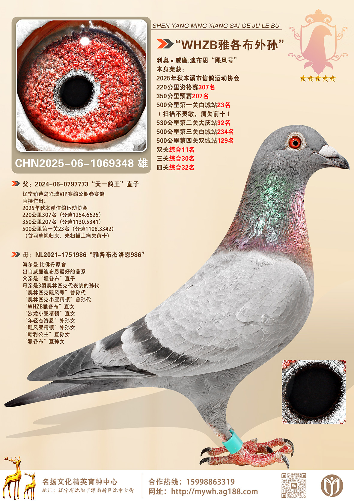 ��WHZB�Ÿ�����ֱ��.�Ĺ��ۺ�32��