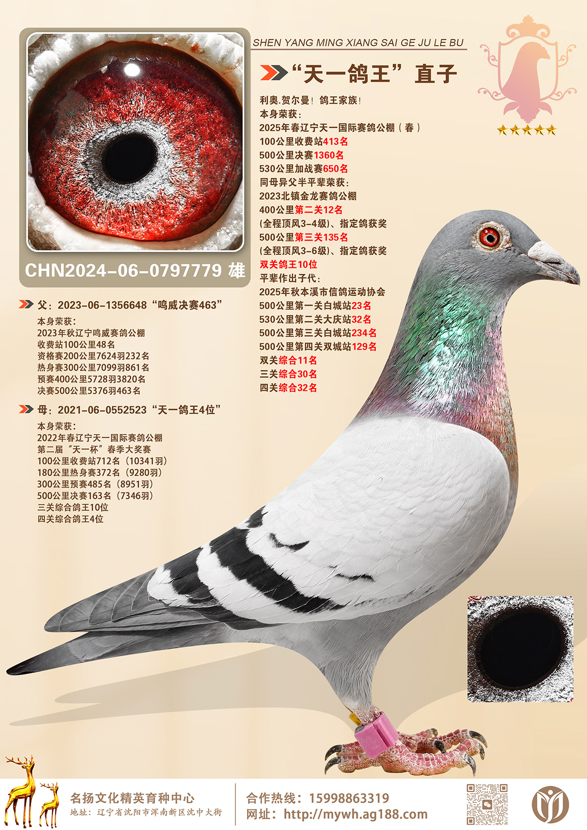 ����һ����4λ��ֱ�Ӱ�ƽ���ٻ񣺱������