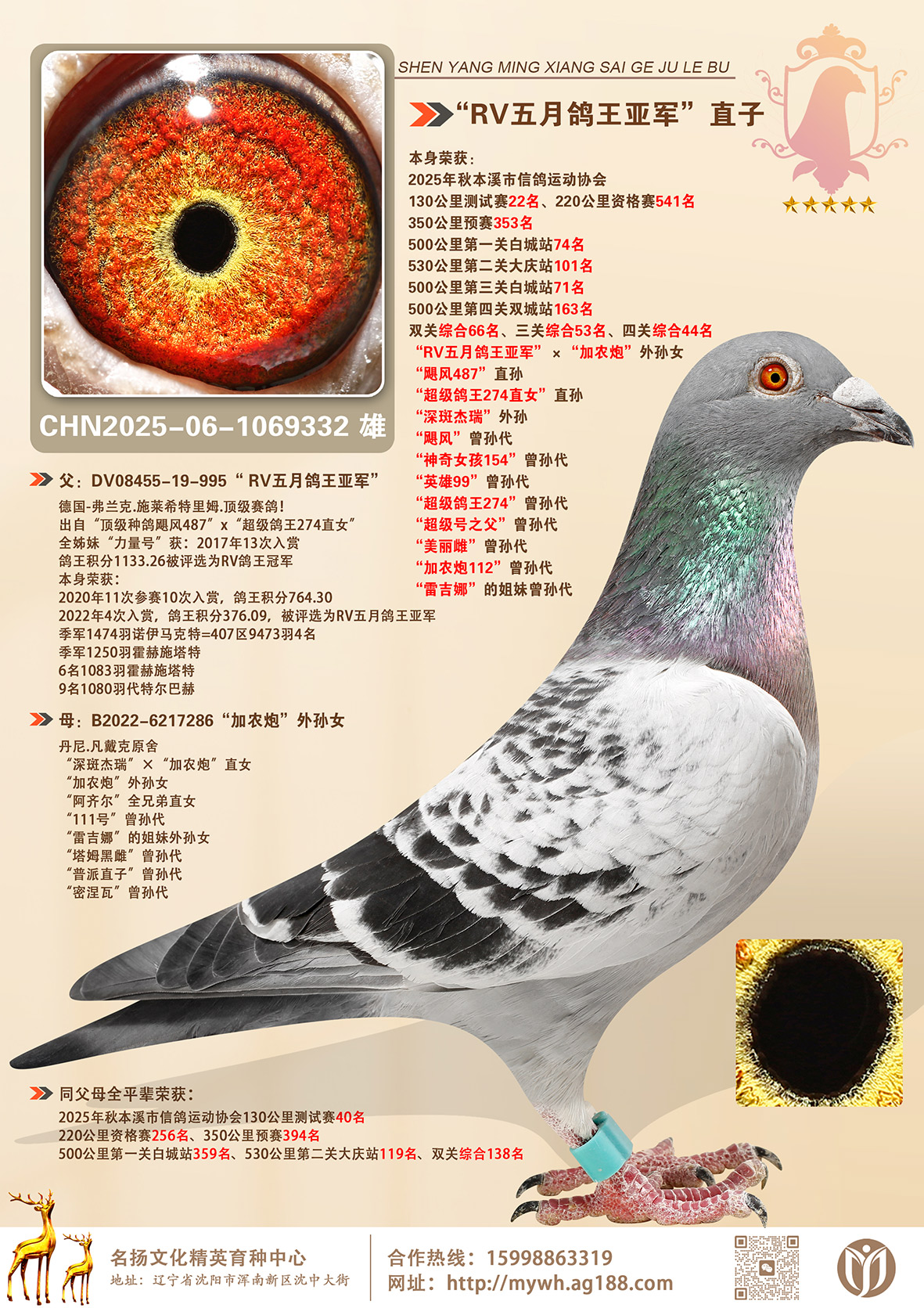 ��RV���¸����Ǿ�ֱ�ӡ��Ĺ��ۺ�44��