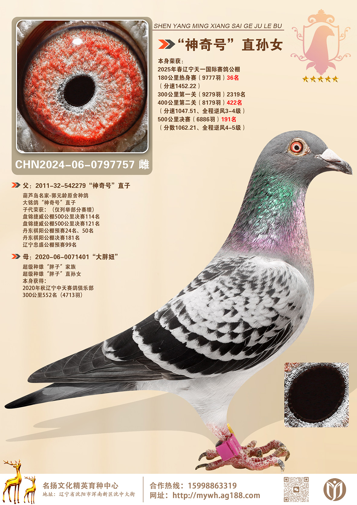 �������ֱ��Ů����һ�������191��